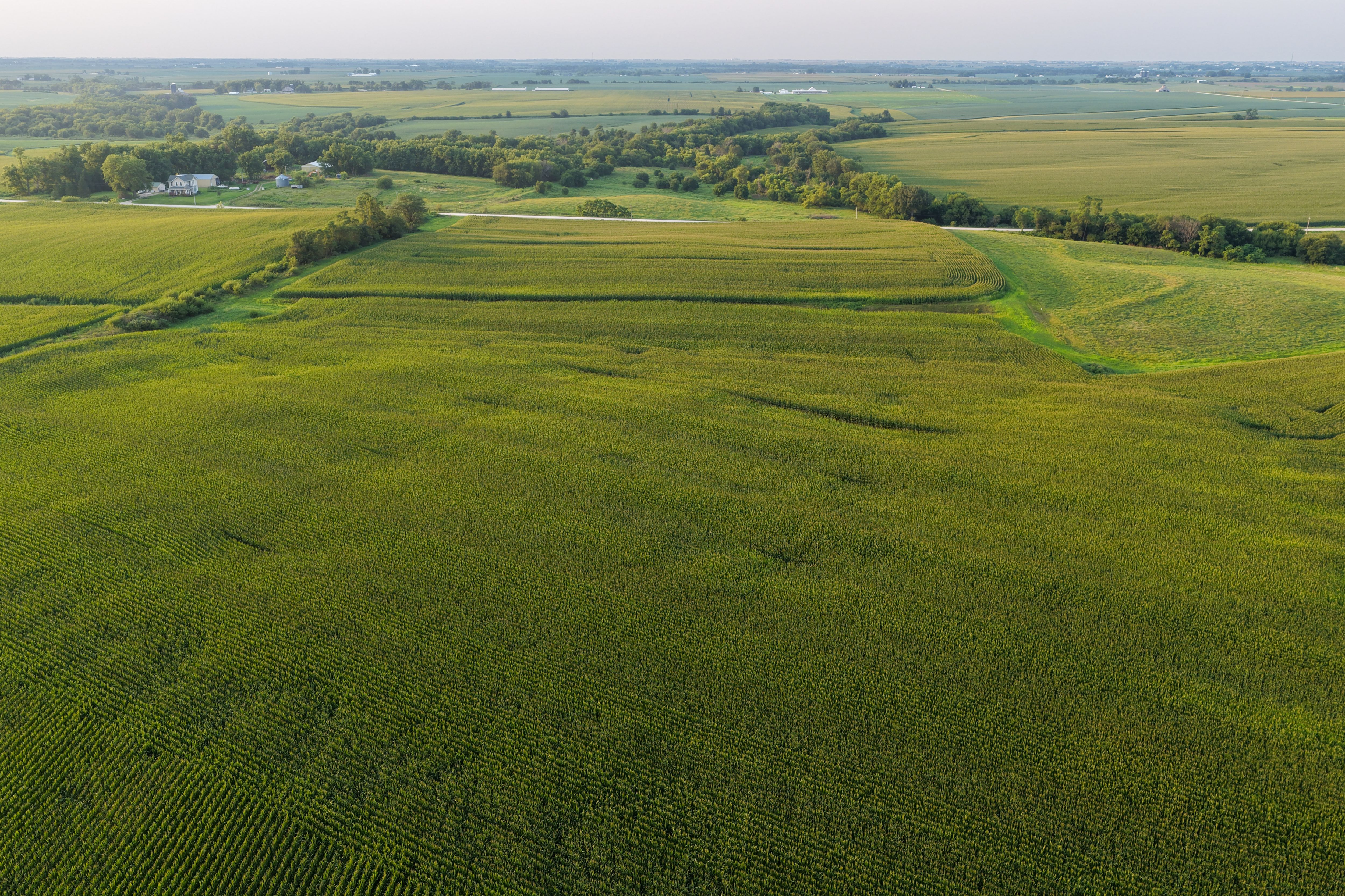 Listing Photo: Land Auction Washington County Iowa